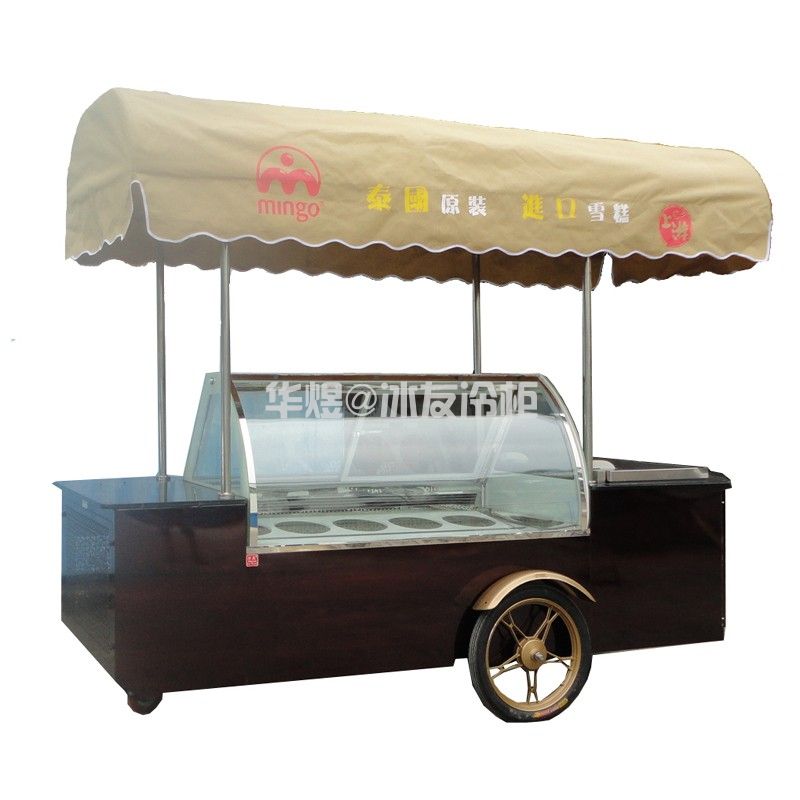 冰友10桶冰淇淋车流动式冰淇淋车花车展示柜小吃车