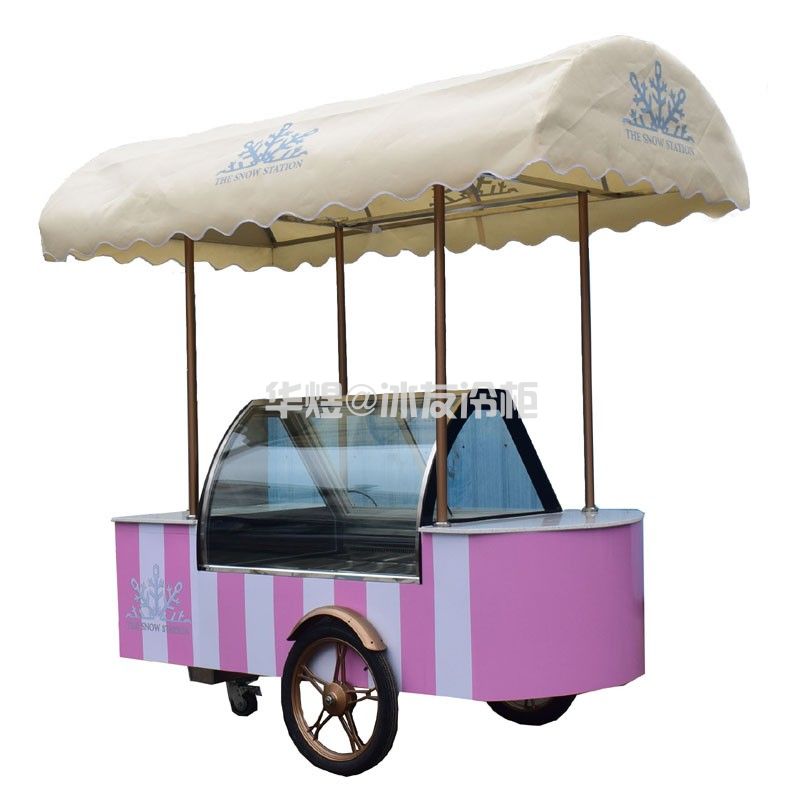 冰友12盘冰淇淋车流动式冰淇淋花车展示柜移动雪糕车