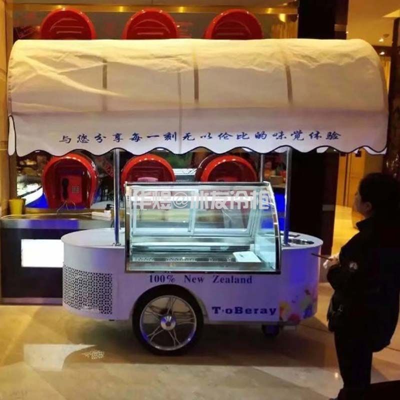 冰友单排6盘两头圆型冰淇淋车 移动室外流动车冰淇淋售卖车