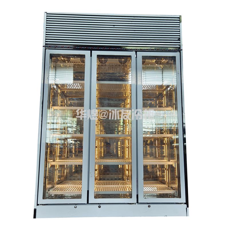 三门一体机牛肉冷冻柜低温牛肉冷冻展示柜玻璃门低温柜