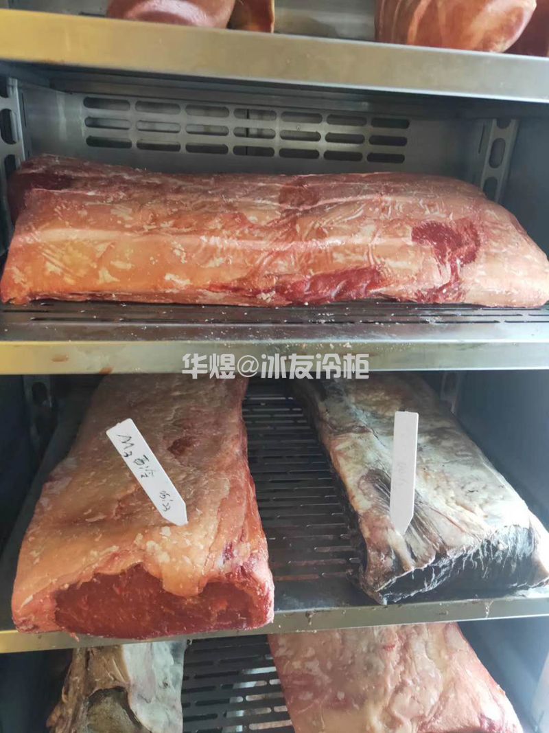 冰友单门熟成柜智能干式熟成牛排柜牛肉排配成成展示柜(图2)