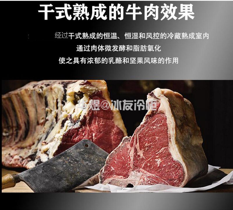 玫瑰金双门牛肉排酸柜干式牛排牛扒熟成展示柜(图3)