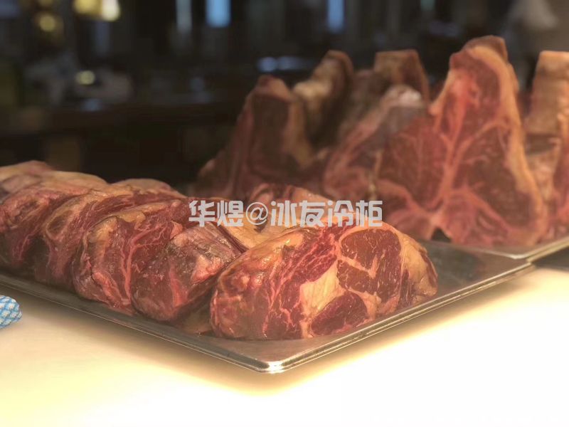 高档六小门牛肉熟成柜 牛排风干柜 定制款前后玻璃排酸柜(图8)