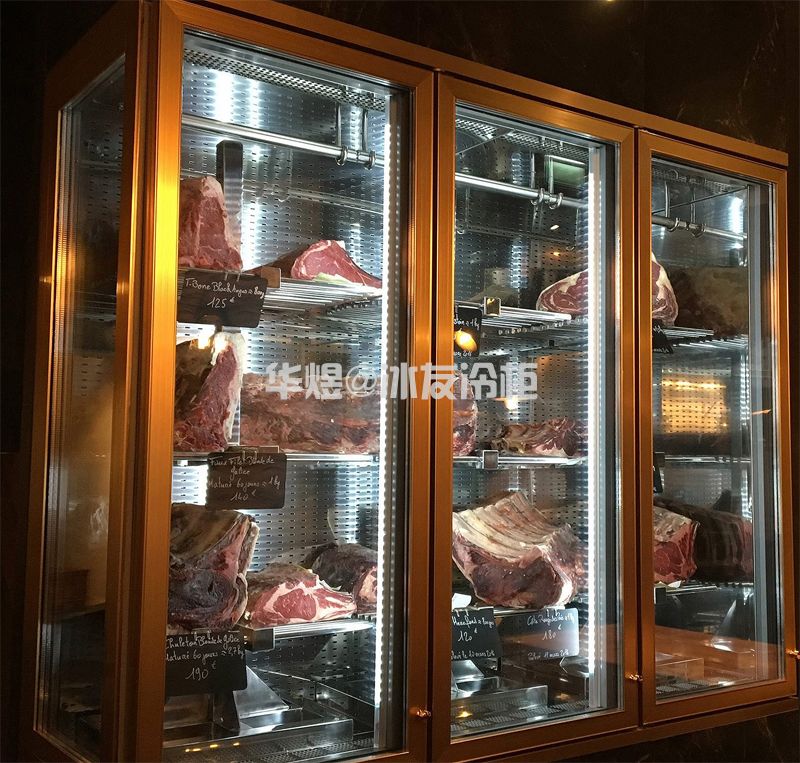 玫瑰金双门牛肉排酸柜干式牛排牛扒熟成展示柜(图9)