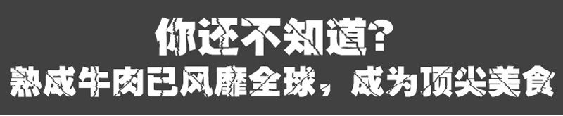 高档六小门牛肉熟成柜 牛排风干柜 定制款前后玻璃排酸柜(图1)