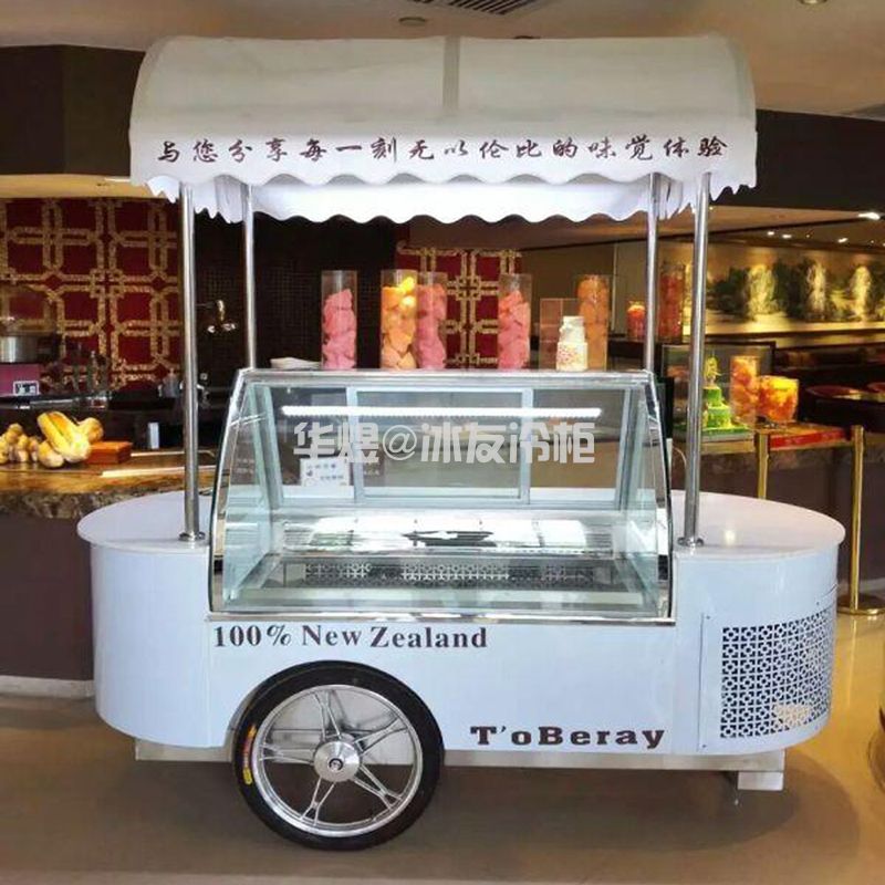 冰友单排6盘两台圆型冰淇淋车 移动室外流动车冰淇淋售卖车(图6)