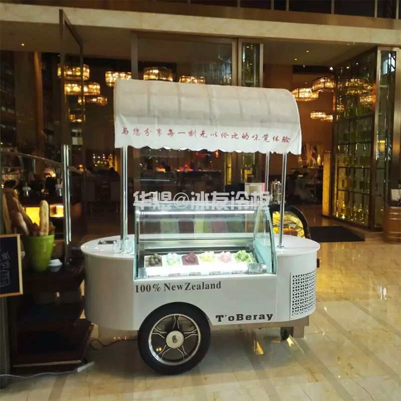 冰友单排6盘两台圆型冰淇淋车 移动室外流动车冰淇淋售卖车(图8)