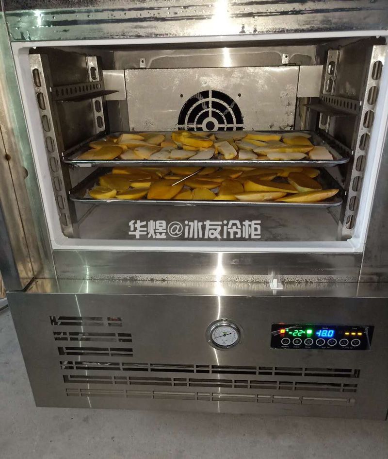 冰友小型速冻柜3盘插盘式速冻机水果蔬菜急冻柜冷冻柜(图11)
