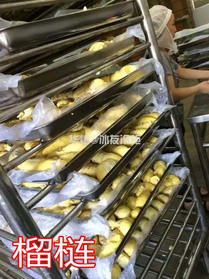 冰友单门常规款10盘速冻柜饺子包子馒头水饺速冻柜(图13)