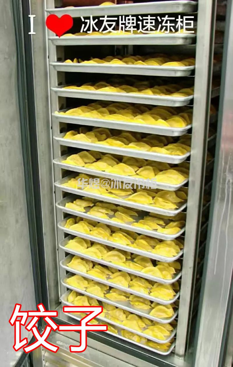 冰友定制款小四门速冻柜风冷20盘速冻机商用食品急速冷冻柜冰柜(图13)