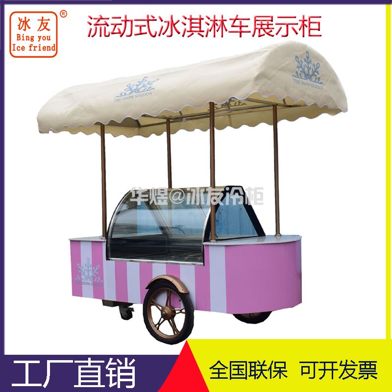 冰友12盘冰淇淋车流动式冰淇淋花车展示柜移动雪糕车(图1)