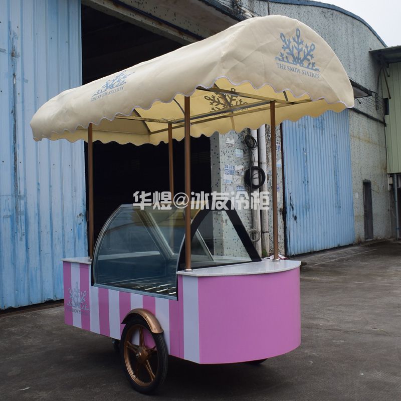 冰友12盘冰淇淋车流动式冰淇淋花车展示柜移动雪糕车(图10)