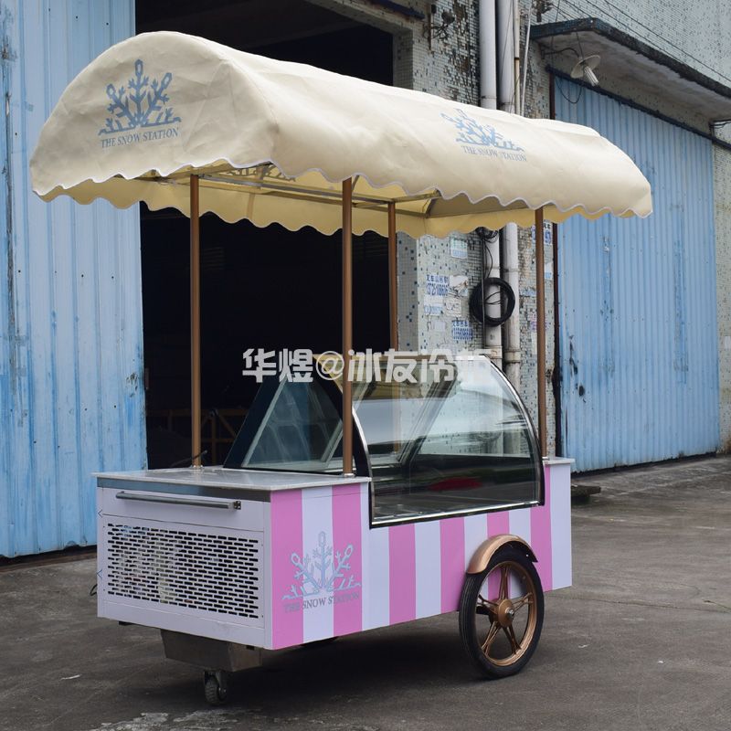 冰友12盘冰淇淋车流动式冰淇淋花车展示柜移动雪糕车(图9)