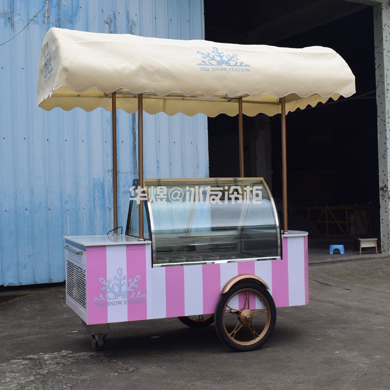 冰友12盘冰淇淋车流动式冰淇淋花车展示柜移动雪糕车(图8)