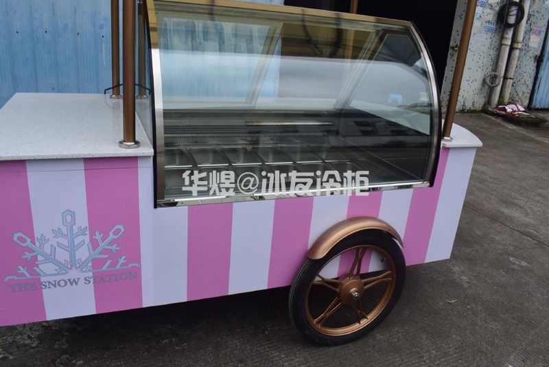 冰友12盘冰淇淋车流动式冰淇淋花车展示柜移动雪糕车(图13)