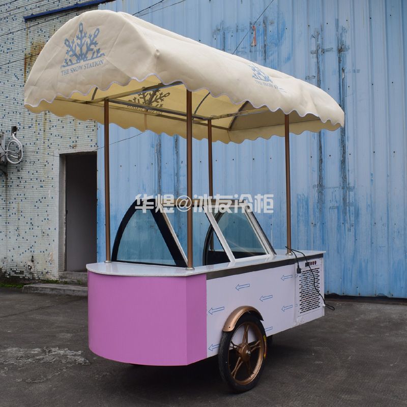 冰友12盘冰淇淋车流动式冰淇淋花车展示柜移动雪糕车(图11)