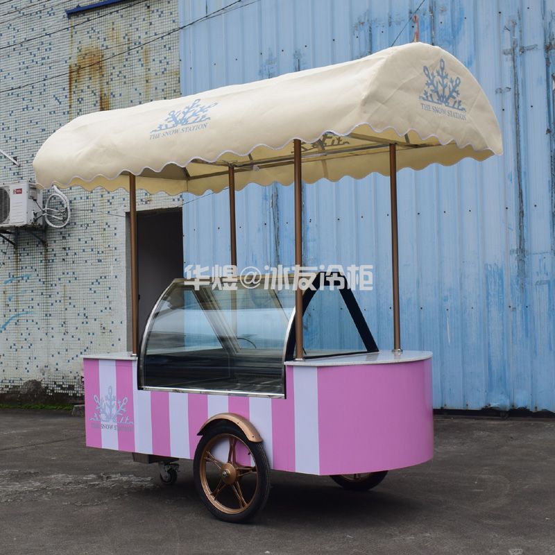 冰友12盘冰淇淋车流动式冰淇淋花车展示柜移动雪糕车(图7)