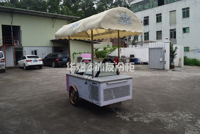 冰友12盘冰淇淋车流动式冰淇淋花车展示柜移动雪糕车(图12)
