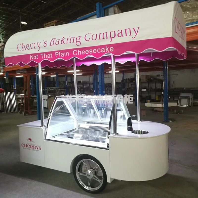 10盘雪糕车冰淇淋车冰激凌车雪糕车室外冰淇淋冷藏车可移动冰淇淋花车(图7)