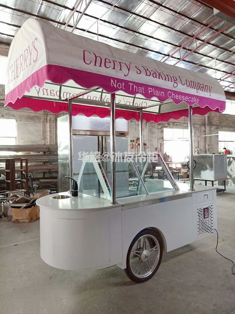 10盘雪糕车冰淇淋车冰激凌车雪糕车室外冰淇淋冷藏车可移动冰淇淋花车(图10)