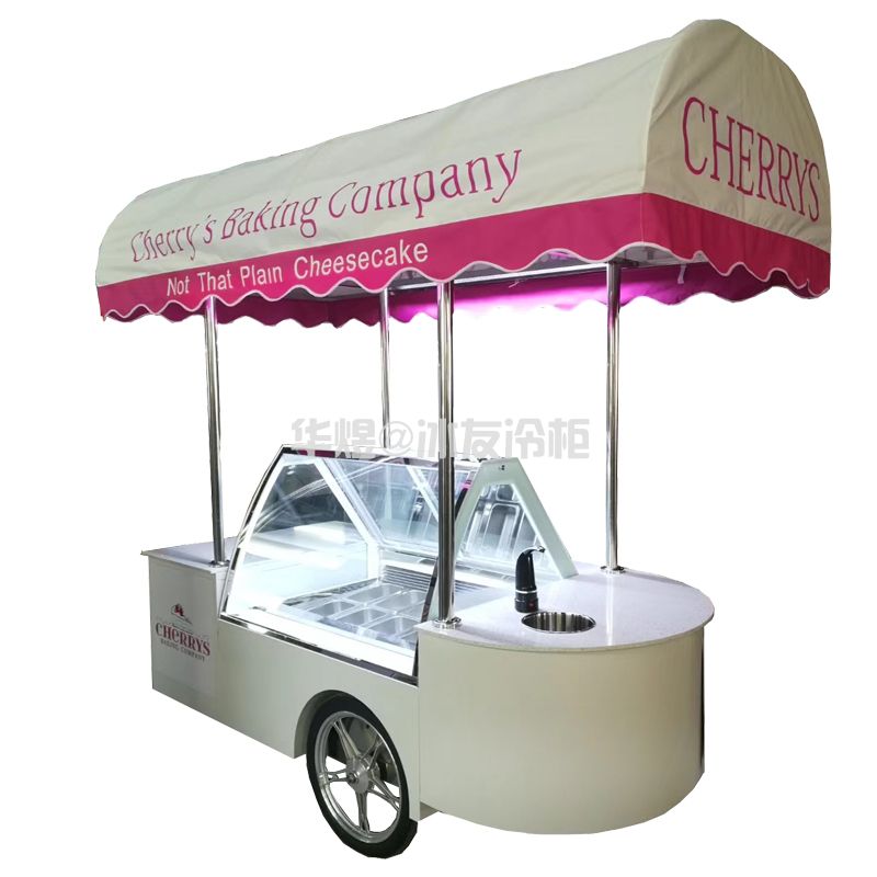 10盘雪糕车冰淇淋车冰激凌车雪糕车室外冰淇淋冷藏车可移动冰淇淋花车(图1)