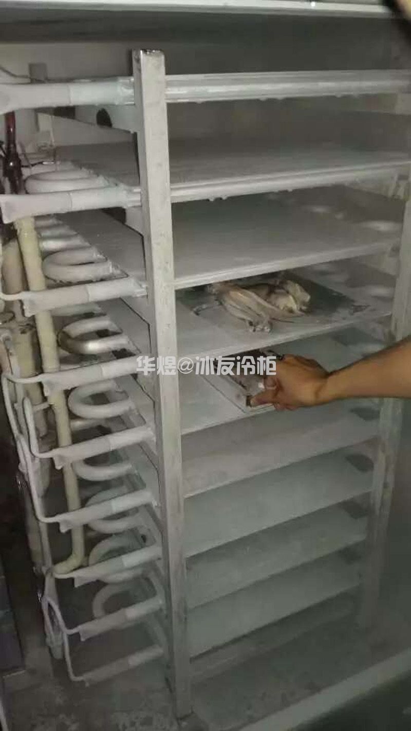 单门10层平板速冻柜平板冻结机低温速冻机冷柜(图5)