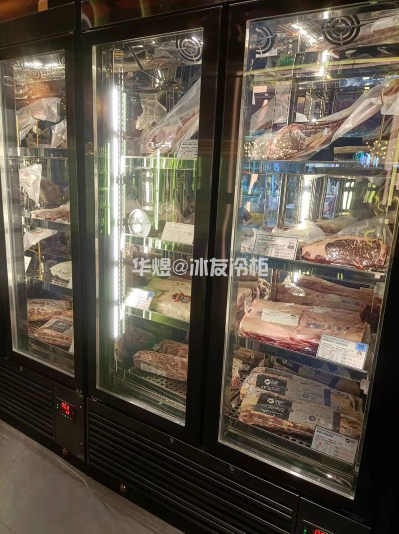 黑拉丝低温牛肉展示柜牛肉冷冻柜玻璃门展示冷柜(图9)