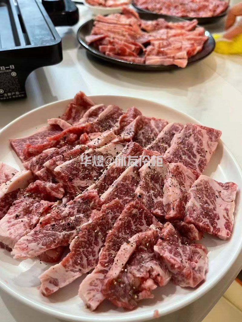 四门低温牛肉冷冻柜日式烤肉和牛肉业牛肉冷冻展示冷柜(图9)