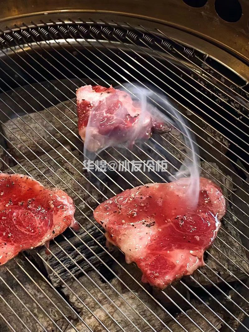 四门低温牛肉冷冻柜日式烤肉和牛肉业牛肉冷冻展示冷柜(图11)