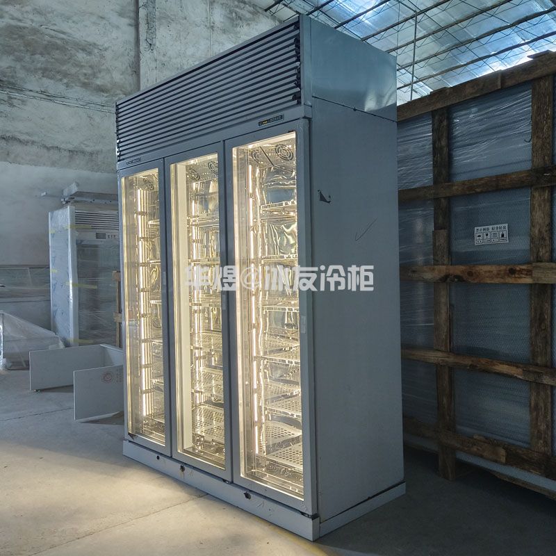 高身三门双温低温和牛展示冷柜玻璃门低温展示柜牛肉冷冻柜(图3)