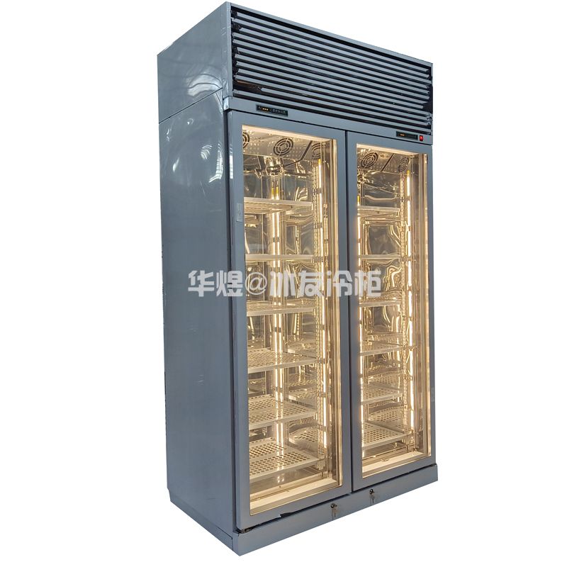 双门高身低温牛肉冷冻柜和牛冷冻柜玻璃门低温展示柜(图2)