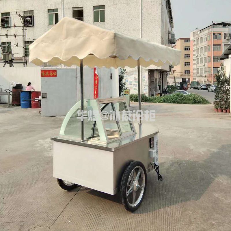 冰友简易款8盘冰淇淋车流动式硬质冰淇淋冷藏冷冻花车(图8)
