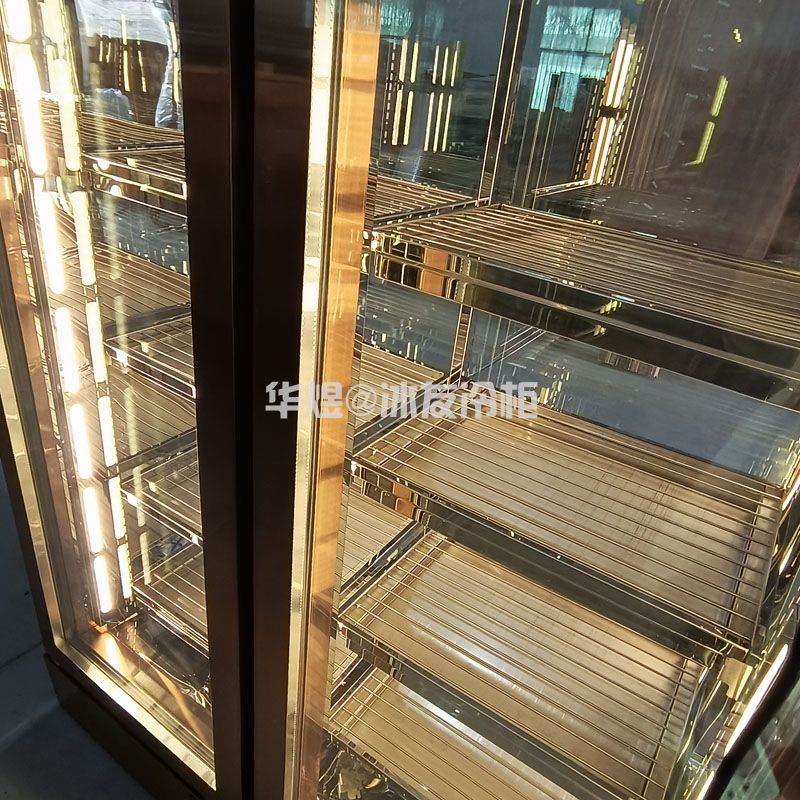 双门双通玫瑰金色湿式熟成展示柜牛肉排酸柜和牛冷柜(图5)